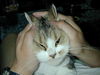 Filename=DSCN9573.JPG
Filesize=776KiB
Dimensions=1600x1200
Date added=Feb 21, 2006 DSCN9573.JPG