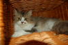 Filename=DSC_0903.JPG
Filesize=1632KiB
Dimensions=2256x1496
Date added=Feb 21, 2006 DSC_0903.JPG
