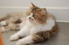 Filename=DSC_2847.JPG
Filesize=799KiB
Dimensions=2256x1496
Date added=Feb 21, 2006 DSC_2847.JPG