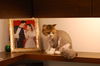 Filename=DSC_4495.JPG
Filesize=1373KiB
Dimensions=2256x1496
Date added=Feb 21, 2006 DSC_4495.JPG