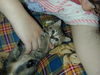 Filename=HeiChiao13.JPG
Filesize=647KiB
Dimensions=1600x1200
Date added=Feb 21, 2006 HeiChiao13.JPG