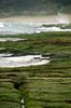 Filename=20060409-24.JPG
Filesize=147KiB
Dimensions=748x1128
Date added=Apr 14, 2006 20060409-24.JPG