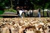 Filename=20070324_103143.JPG
Filesize=771KiB
Dimensions=1936x1296
Date added=Apr 01, 2007 20070324_103143.JPG