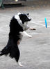 Filename=20070324_104822.JPG
Filesize=245KiB
Dimensions=948x1308
Date added=Apr 01, 2007 20070324_104822.JPG