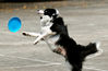 Filename=20070324_105018.JPG
Filesize=192KiB
Dimensions=1178x770
Date added=Apr 01, 2007 20070324_105018.JPG