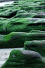Filename=20070324_173137.JPG
Filesize=1487KiB
Dimensions=1496x2256
Date added=Apr 01, 2007 20070324_173137.JPG