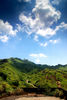 Filename=20070722_124638.JPG
Filesize=1568KiB
Dimensions=1944x2896
Date added=Jul 23, 2007 20070722_124638.JPG