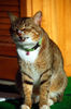 Filename=DSC_2956.JPG
Filesize=1083KiB
Dimensions=1496x2256
Date added=Mar 04, 2006 DSC_2956.JPG