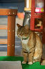 Filename=DSC_2973.JPG
Filesize=852KiB
Dimensions=1496x2256
Date added=Mar 04, 2006 DSC_2973.JPG