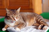 Filename=DSC_3002.JPG
Filesize=907KiB
Dimensions=2256x1496
Date added=Mar 04, 2006 DSC_3002.JPG