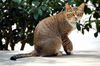 Filename=DSC_3228.JPG
Filesize=1028KiB
Dimensions=2256x1496
Date added=Mar 04, 2006 DSC_3228.JPG