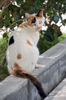 Filename=DSC_3225.JPG
Filesize=803KiB
Dimensions=1496x2256
Date added=Mar 04, 2006 DSC_3225.JPG