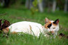 Filename=DSC_3273.JPG
Filesize=830KiB
Dimensions=2256x1496
Date added=Mar 04, 2006 DSC_3273.JPG