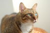 Filename=DSC_2844.JPG
Filesize=813KiB
Dimensions=2256x1496
Date added=Feb 21, 2006 DSC_2844.JPG