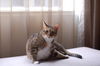 Filename=DSC_5041.JPG
Filesize=1391KiB
Dimensions=2256x1496
Date added=Feb 21, 2006 DSC_5041.JPG