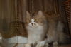 Filename=DSC_0023.JPG
Filesize=923KiB
Dimensions=2256x1496
Date added=Jul 20, 2005 DSC_0023.JPG