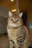 Filename=DSC_0030.JPG
Filesize=567KiB
Dimensions=1496x2256
Date added=Jul 20, 2005 DSC_0030.JPG