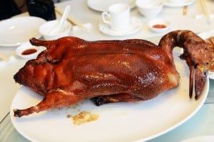 華泰王子飯店九華樓 片皮鴨與乳香吊燒雞果然是招牌