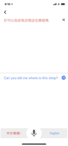 Translator-iOS-Eng01
