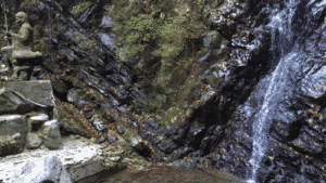 mountain-dog-bark1