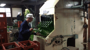 浪花酒造裝瓶