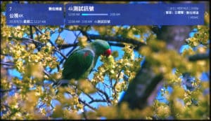 公共電視 2018 4K HDR