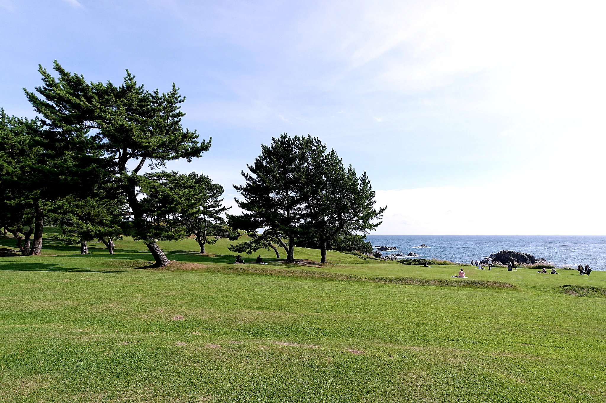 Michill TANESASHI 種差海岸