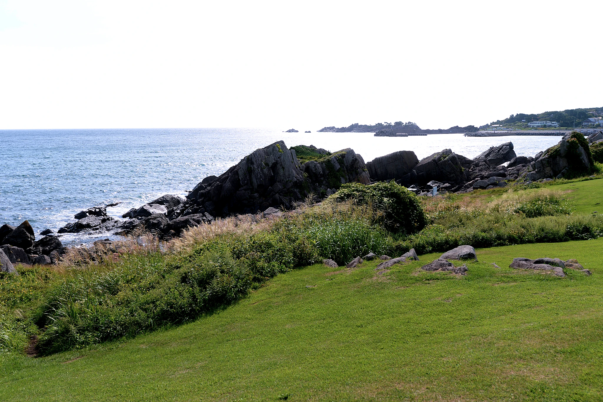 Michill TANESASHI 種差海岸