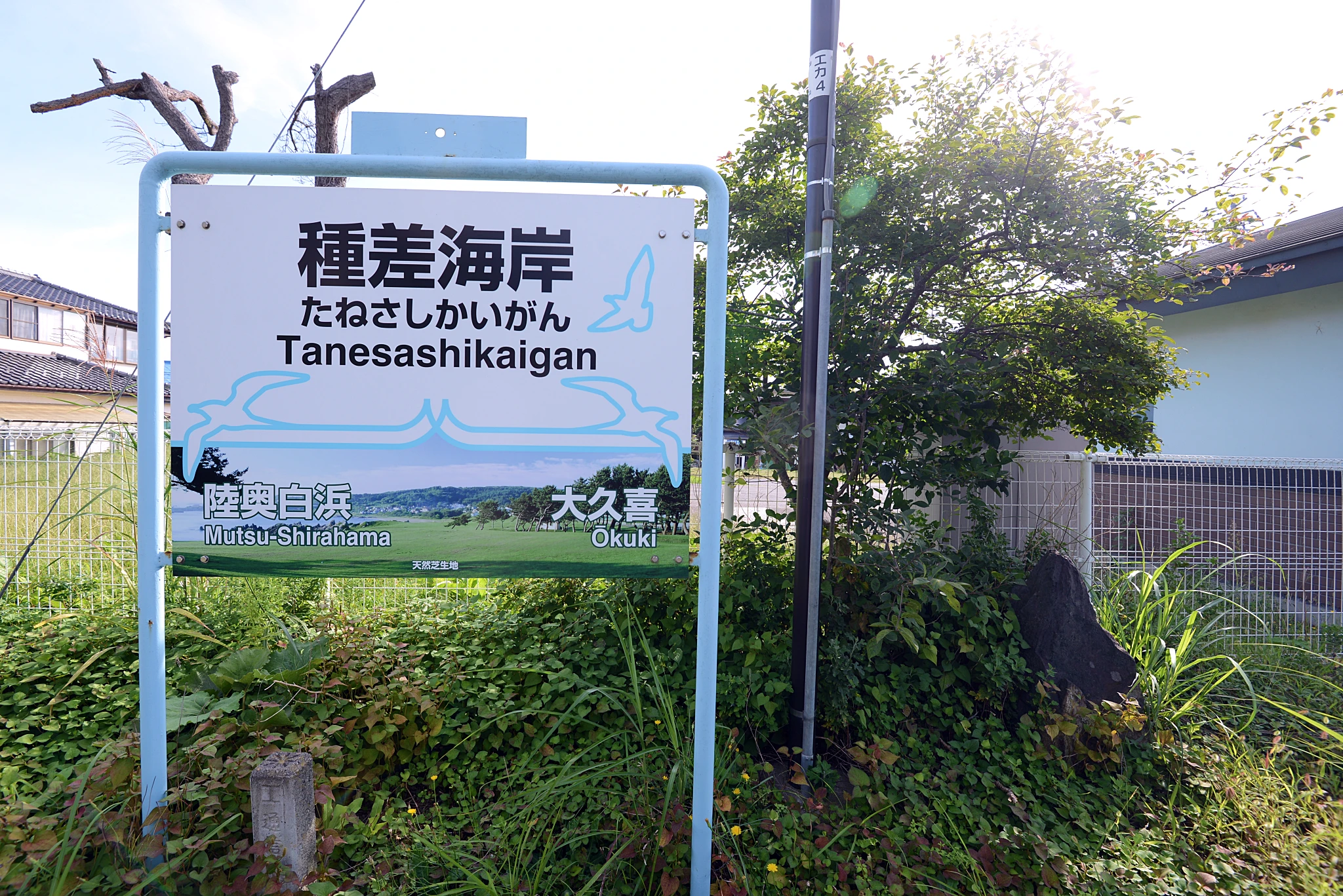 Michill TANESASHI 種差海岸車站