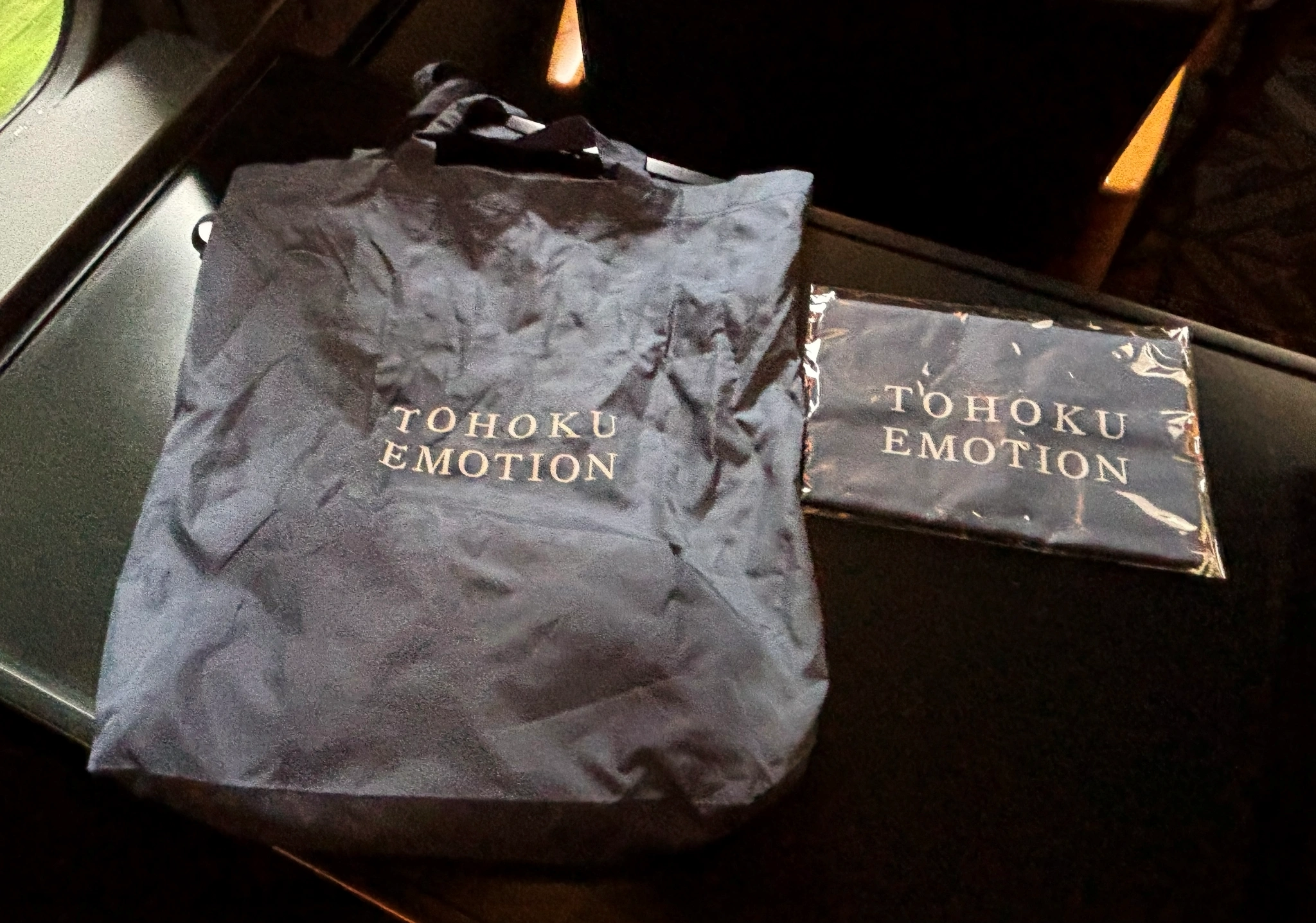 TOHOKU EMOTION