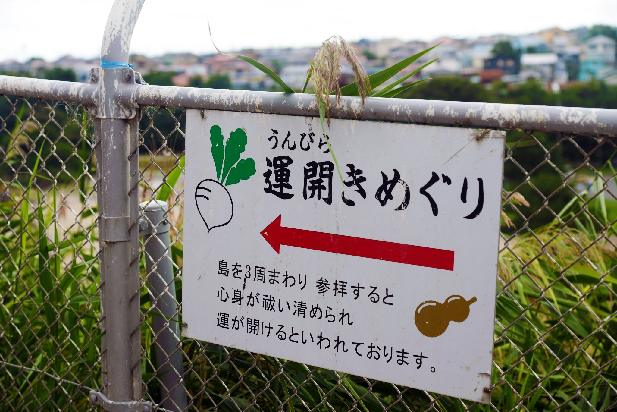 蕪島神社
